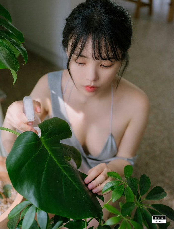 肖申克的救赎